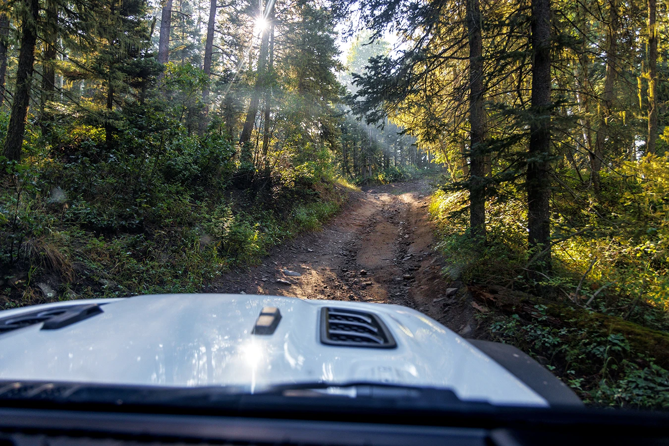 The Best Off-Road Trails Near Santa Rosa, California